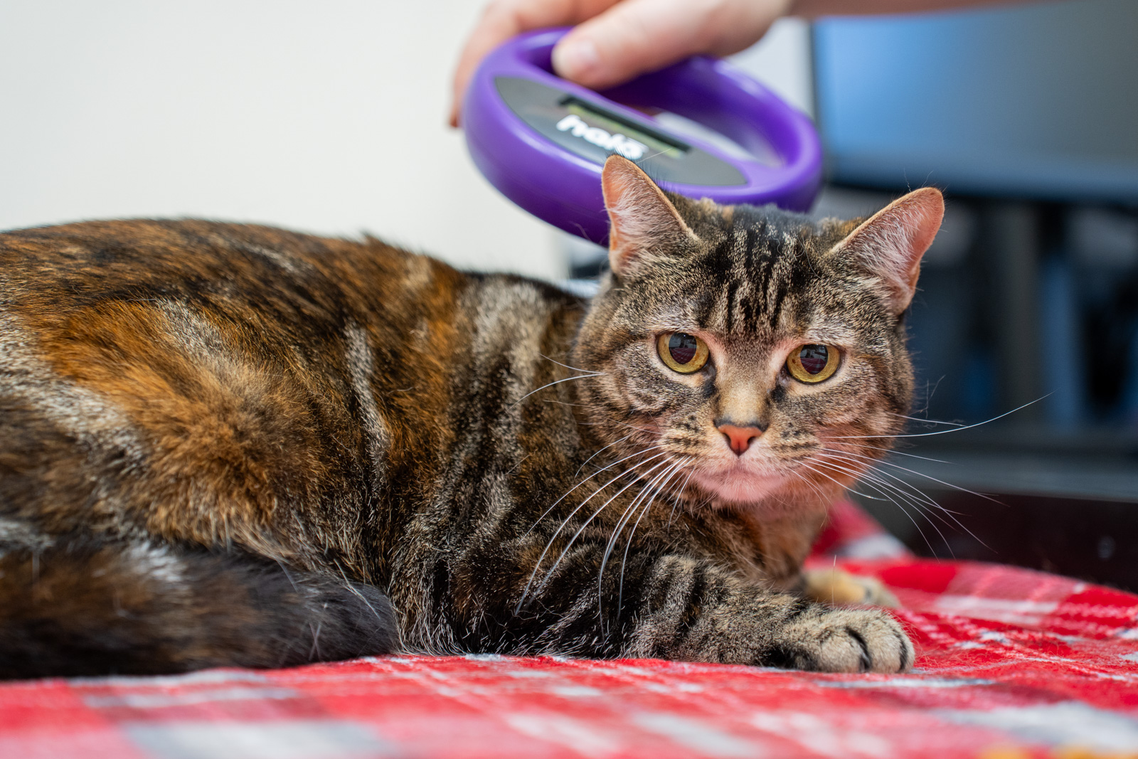 The Willows Veterinary Group - Lymm (Web) 050